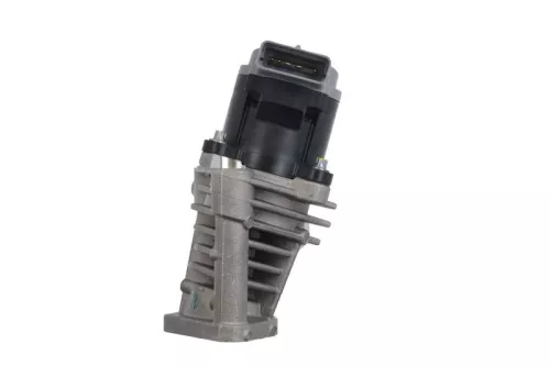 EGR-klep VALEO 700408)