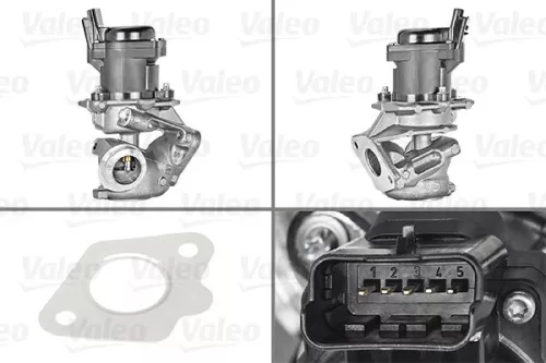 EGR-klep VALEO 700413)