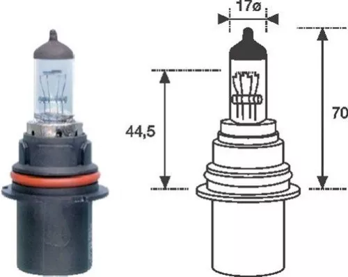 Lamp MAGNETI MARELLI 002555200000)