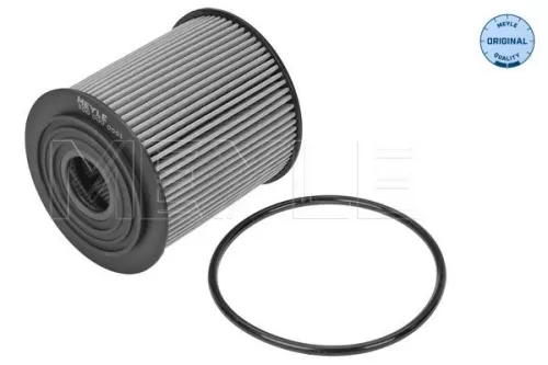 Oil Filter MEYLE 300 000 0001)