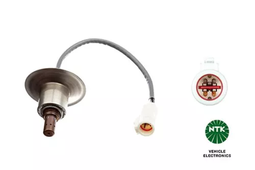 Oxygen Sensor  8960)
