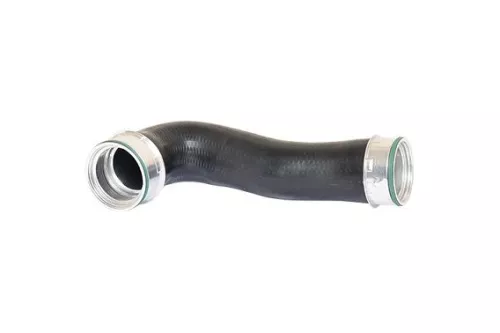 Laadluchtslang BUGIAD 82656)