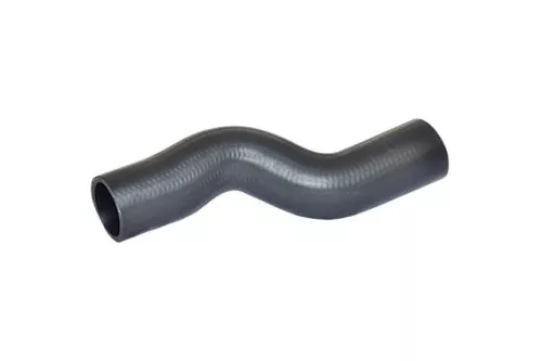 Laadluchtslang BUGIAD 82642)