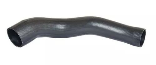 Laadluchtslang BUGIAD 88711)
