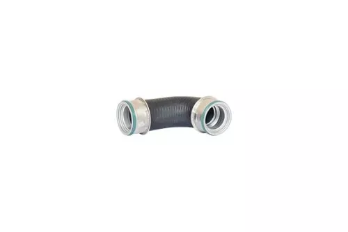Laadluchtslang BUGIAD 82651)