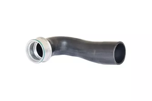 Laadluchtslang BUGIAD 82657)