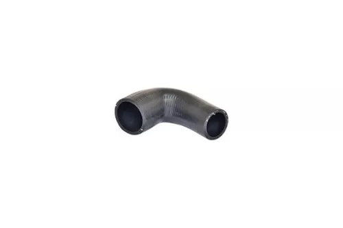Laadluchtslang BUGIAD 87600)