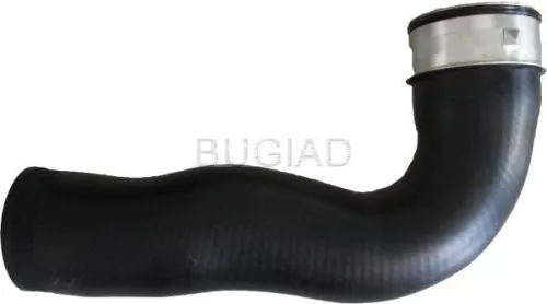 Laadluchtslang BUGIAD 86615)
