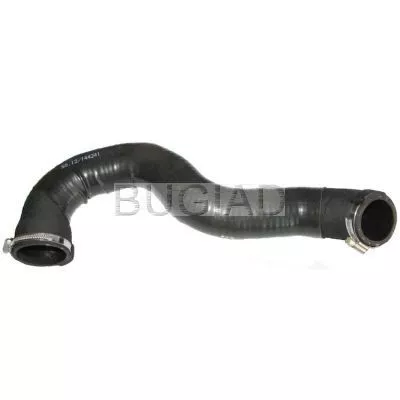 Laadluchtslang BUGIAD 86629)