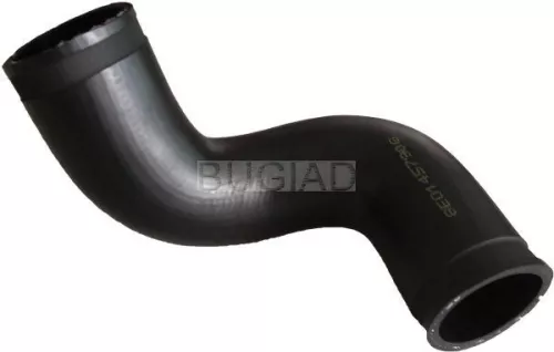 Laadluchtslang BUGIAD 86650)