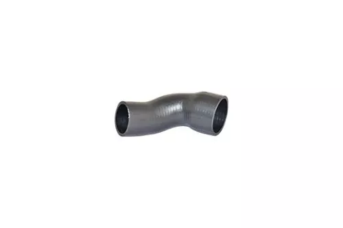 Laadluchtslang BUGIAD 81624)