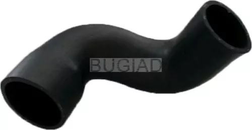 Laadluchtslang BUGIAD 88622)