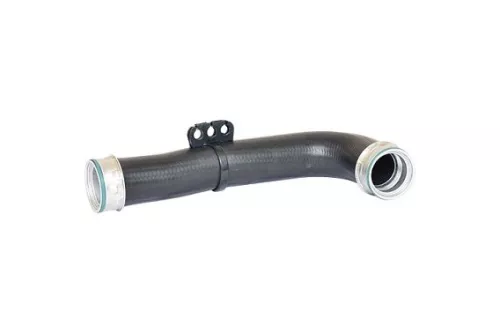 Laadluchtslang BUGIAD 82662)