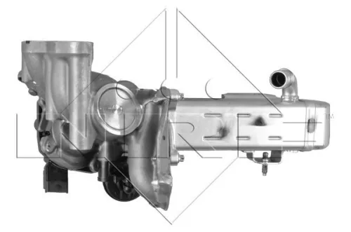 EGR-klep NRF 48204)