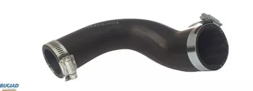 Laadluchtslang BUGIAD 82604)