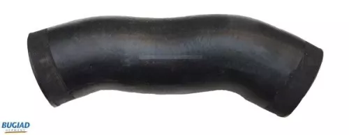 Laadluchtslang BUGIAD 84607)