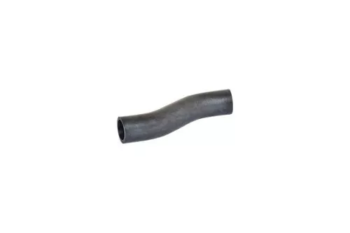 Laadluchtslang BUGIAD 88670)