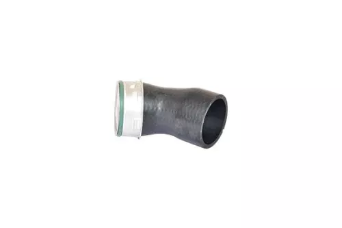 Laadluchtslang BUGIAD 82696)