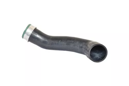 Laadluchtslang BUGIAD 84608)