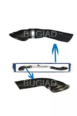Laadluchtslang BUGIAD 84619)