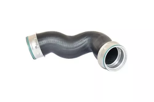 Laadluchtslang BUGIAD 87610)