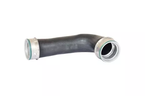Laadluchtslang BUGIAD 82704)