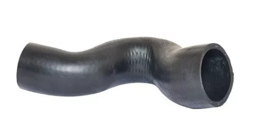 Laadluchtslang BUGIAD 85636)
