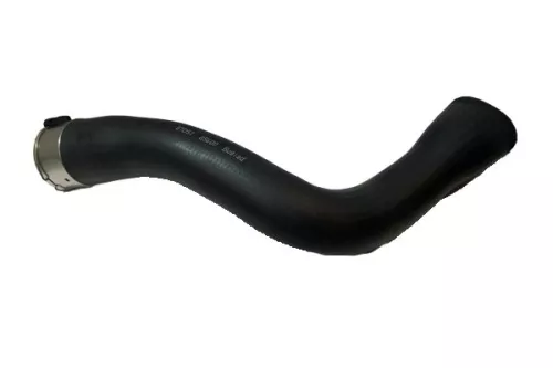 Laadluchtslang BUGIAD 85600)