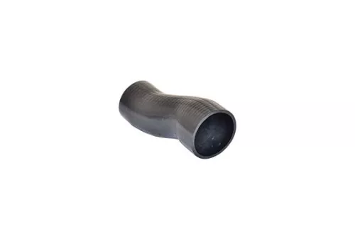 Laadluchtslang BUGIAD 81629)