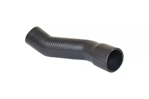 Laadluchtslang BUGIAD 82639)