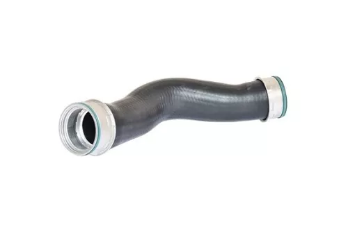 Laadluchtslang BUGIAD 87604)