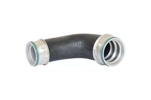 Laadluchtslang BUGIAD 87607)