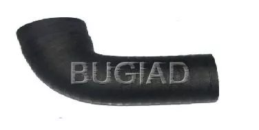 Laadluchtslang BUGIAD 84612)
