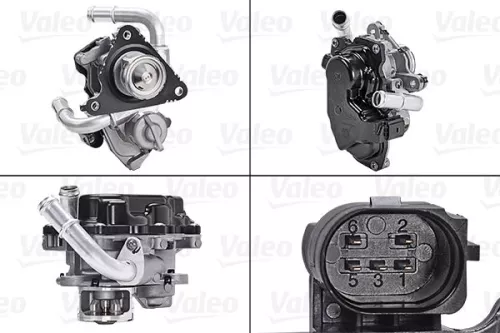 EGR-klep VALEO 700454)