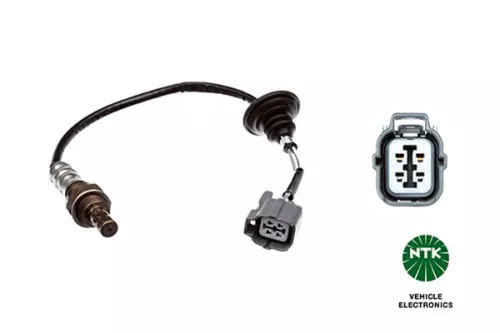 Oxygen Sensor  1661)