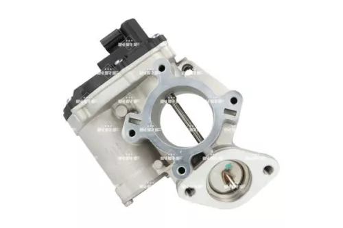 EGR-klep NRF 48663)