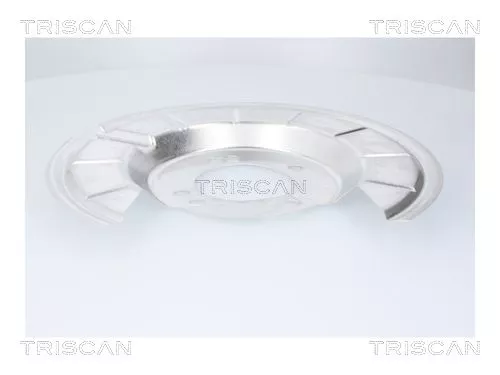 Spatbord, remschijf TRISCAN 8125 16221)