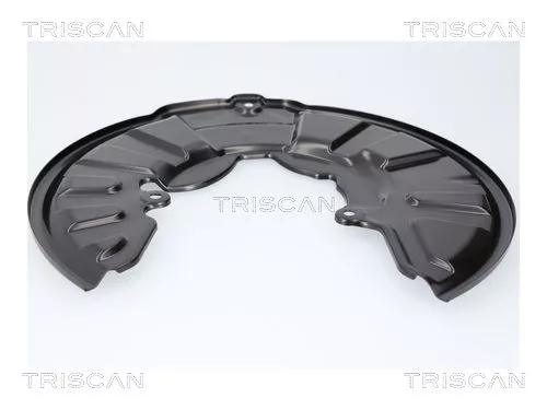 Spatbord, remschijf TRISCAN 8125 23119)