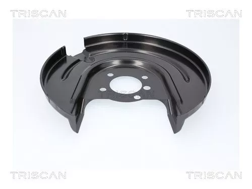 Spatbord, remschijf TRISCAN 8125 29287)