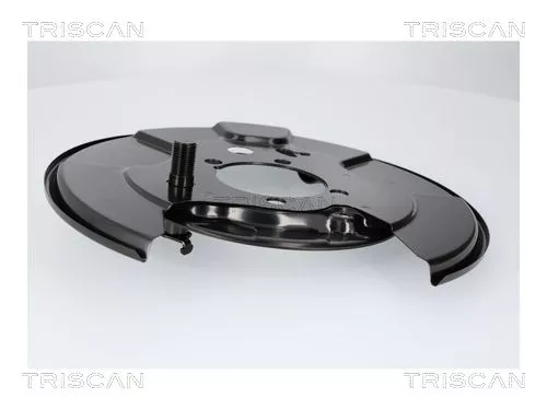Spatbord, remschijf TRISCAN 8125 13227)