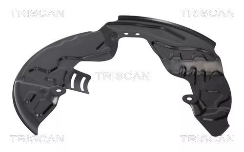 Spatbord, remschijf TRISCAN 8125 16112)