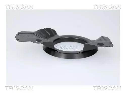 Spatbord, remschijf TRISCAN 8125 43113)