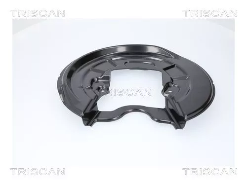 Spatbord, remschijf TRISCAN 8125 29288)