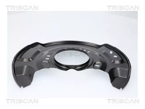Spatbord, remschijf TRISCAN 8125 13135)