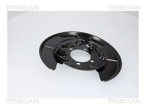 Spatbord, remschijf TRISCAN 8125 13228)