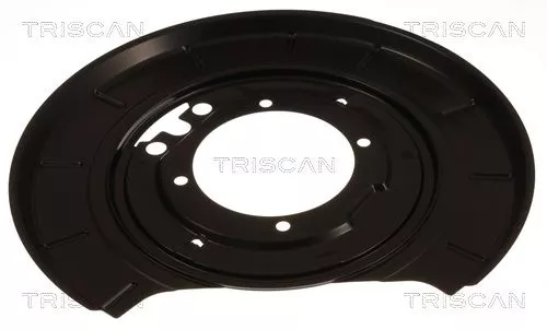 Spatbord, remschijf TRISCAN 8125 23234)