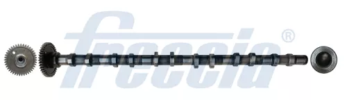 Nokkenas FRECCIA CM05-2355)