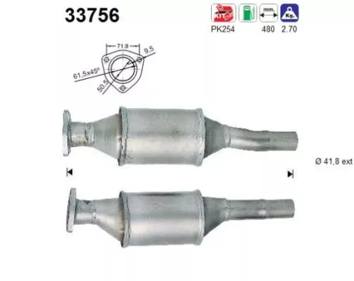 Katalysator AS 33756)