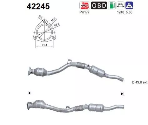 Katalysator AS 42245)