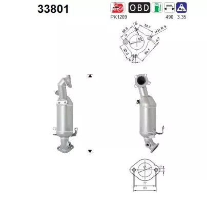 Katalysator AS 33801)
